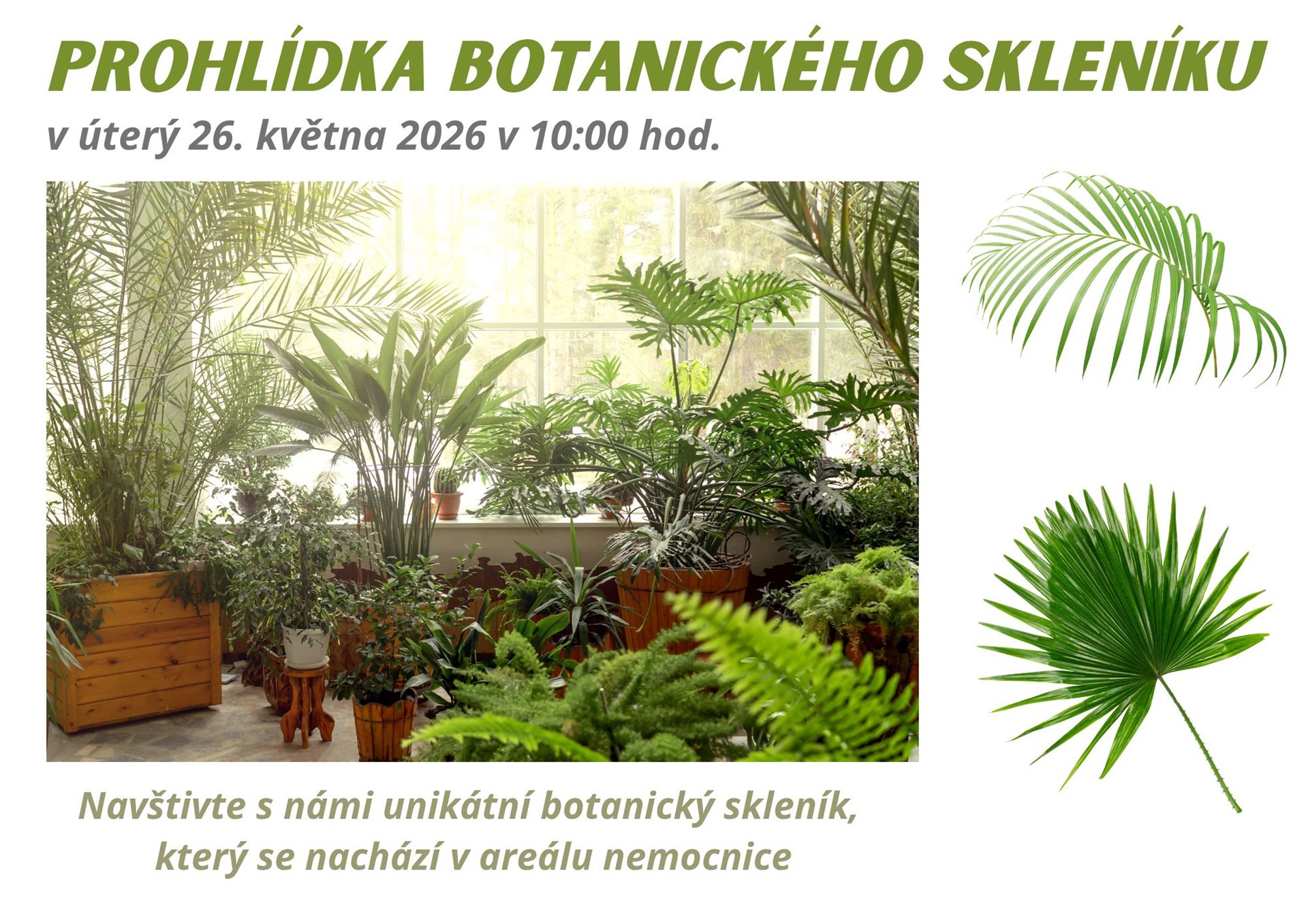 Prohlidka-botanickeho-skleniku-26-5-2026.jpg