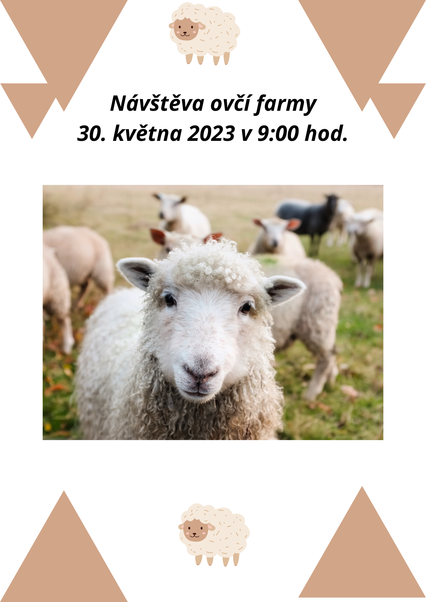 Navsteva-ovci-farmy-30-kvetna-2023-2.png