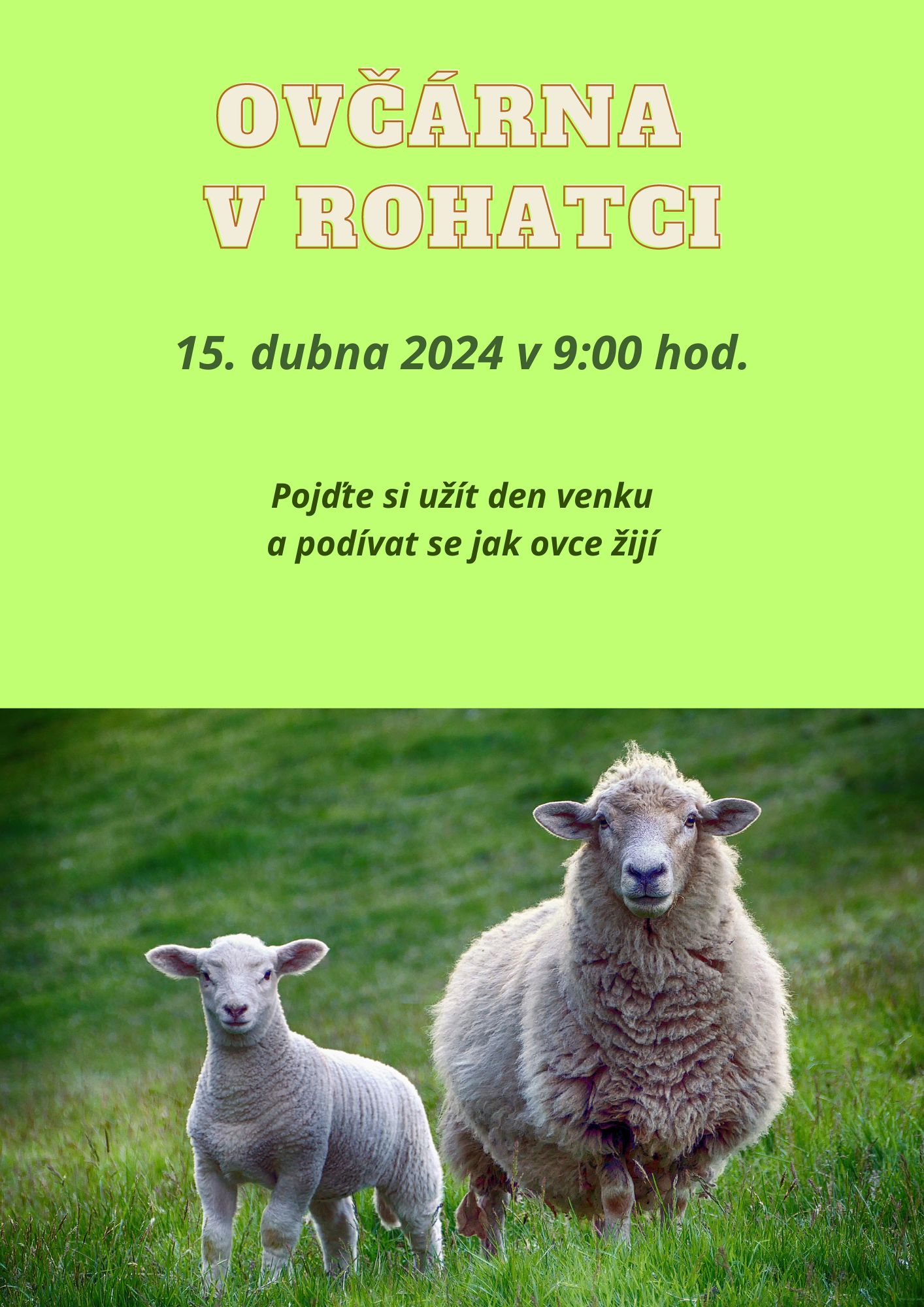 Ovcarna-v-Rohatci-15-dubna-2024-1.jpg