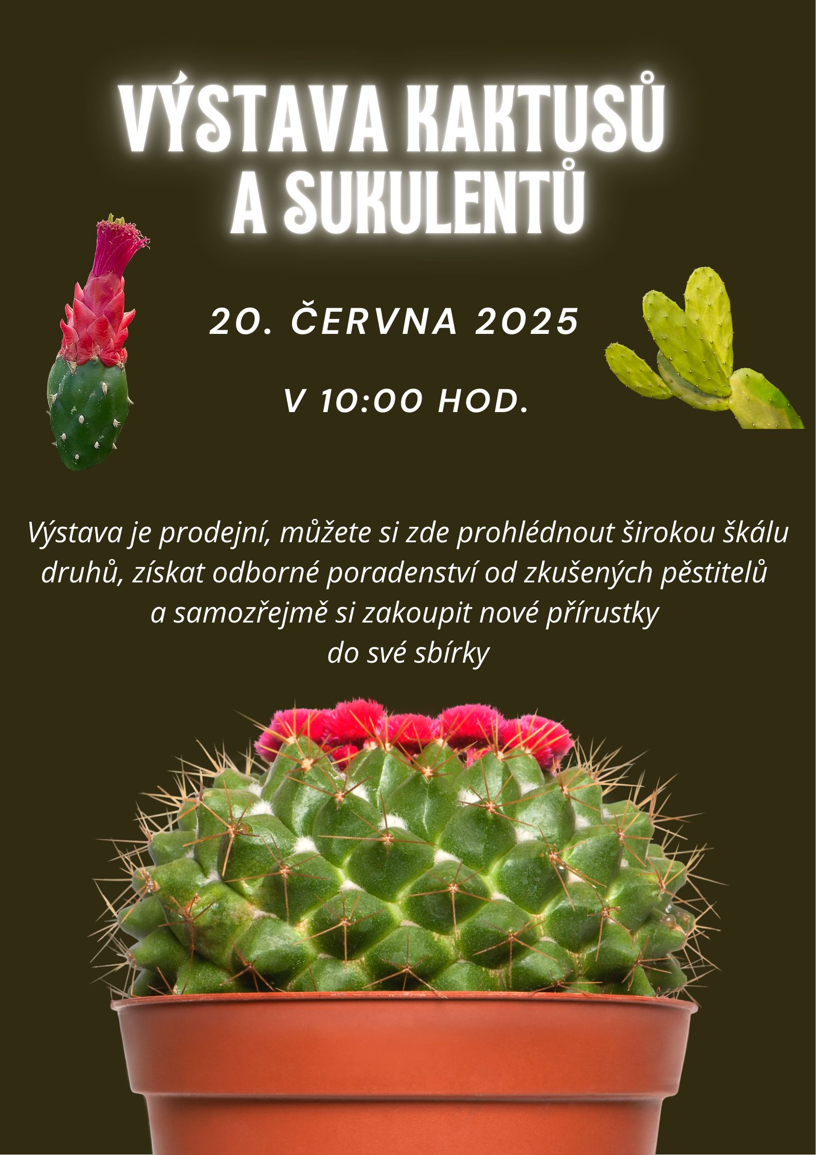 Vystava-kaktusu-a-sukulentu-20-6-2025-1.jpg